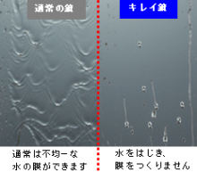 雑多な日々