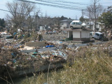 雑多な日々