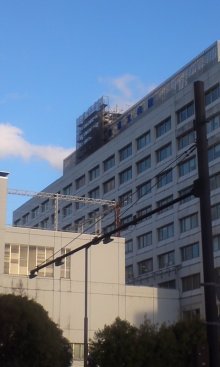 雑多な日々