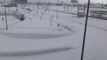 雑多な日々