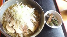 雑多な日々